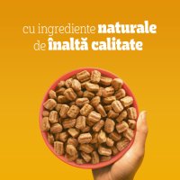 PEDIGREE Adult, M-XL, Vită și Legume, hrană uscată câini, 500g - 4