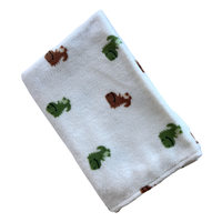 Paturica fleece groasa pentru bebelusi 90x70 cm Twindeco cu design Dinozauri - 2