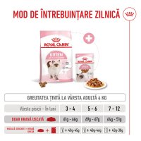 ROYAL CANIN Kitten, hrană uscată pisici junior, 400g - 8