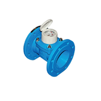 Contor de apa rece B Meters WDE-K50 pentru utilizare industriala - 1