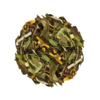 Ice Tea Citrus & Ginger (Gramaj: 100g) - 1