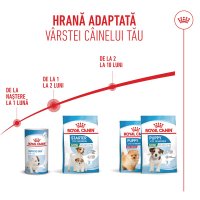 ROYAL CANIN Mini Starter Mother & Babydog, mama și puiul, hrană uscată câini, 8kg - 11