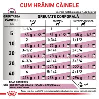 ROYAL CANIN VD Renal pentru caini XS-XL, hrana umeda veterinara pate, 410 g - 5
