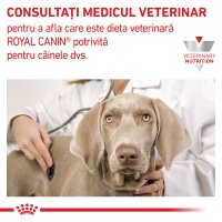 ROYAL CANIN VD Renal pentru caini XS-XL, hrana umeda veterinara pate, 410 g - 6