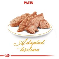 ROYAL CANIN Persian Adult, hrană umedă pisici, (pate), bax, 85g x 12buc - 6