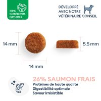 MARLY&DAN Adult Medium Breed, M, Somon, hrană uscată fără cereale câini, 4kg - 3