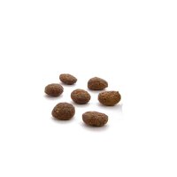 CANAGAN Dental, Curcan, hrană uscată fără cereale pisici junior & adult, sensibilități dentare, 375g - 3