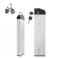 RESIGILAT-Acumulator pentru Bicicleta electrica pliabila Dunes 20 E-bike Lithium Ion Battery - 1