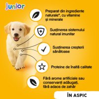 PEDIGREE Junior, Hrană Umedă pentru Câini Pui, Conservă 400g, XS-XL, în Aspic - 4