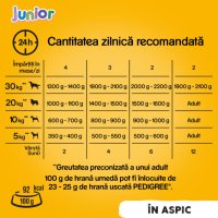PEDIGREE Junior, Hrană Umedă pentru Câini Pui, Conservă 400g, XS-XL, în Aspic - 6