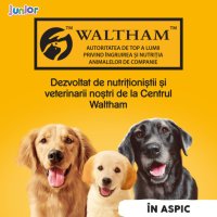 PEDIGREE Junior, Hrană Umedă pentru Câini Pui, Conservă 400g, XS-XL, în Aspic - 7