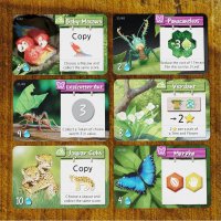 Life of Amazonia Retail - 3