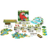 Life of Amazonia Retail - 2