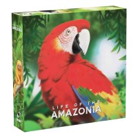 Life of Amazonia Retail - 1