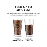 CANAGAN Free Range Chicken, XS-XL, Pui, hrană uscată fără cereale câini junior & adult, 12kg - 5