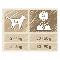 PURINA Cat Chow Adult, Somon, hrană uscată pentru pisici, 15kg - 3