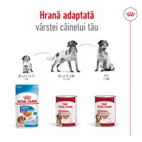 ROYAL CANIN Medium Adult hrană umedă câini (pate), 410g - 7