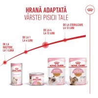 ROYAL CANIN Kitten, hrană umedă pisici, (în aspic), 85g - 9