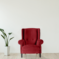 Fotoliu Ergonomic King pentru Living cu Brate - 1