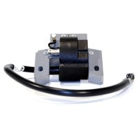 Aprindere Briggs-Stratton 802574 - 1