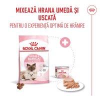 ROYAL CANIN Mother & BabyCat, hrană uscată pisici, mama și puiul, 10kg - 10