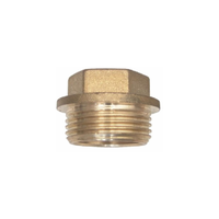 Dop Premium din alama cu filet exterior, 3/4 inch - 1