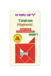 Joc Tangram Magnetic - Creativitate si Distractie - 1
