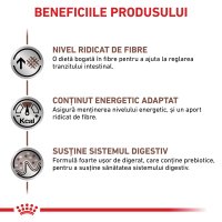 ROYAL CANIN VD Gastrointestinal High Fibre pentru Câini, Dietă Veterinară, 2kg, XS-XL, Suport pentru Sistemul Digestiv - 4