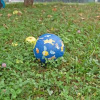 Minge din cauciuc natural Padure Sigikid - 2