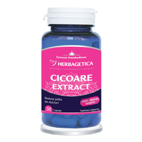 Cicoare Extract, 30 capsule, Herbagetica - 1