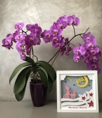 Tablou luminos Fetita 008 - 2