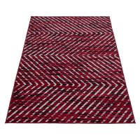 Covor Base Rosu V1 60x100 cm - 3