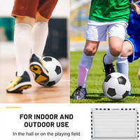 Poarta de fotbal Dunlop, 300 x 200 x 90 cm, cu cadru metalic - 1