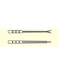 Grub Mustad Aji Micro Bachi 5cm Clear Chartreuse - 12 buc/plic - 2