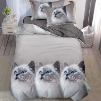 Set Lenjerie Pat 1 Persoana Norene Pisica 140x200 Pucioasa - 1
