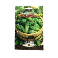 Seminte de castraveti cornichon Levina F1, 10 g - Prima Sementi - 1