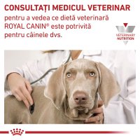 ROYAL CANIN VD Urinary S/O, M-XL, dietă veterinară, hrană uscată câini, sistem urinar, 2kg - 8
