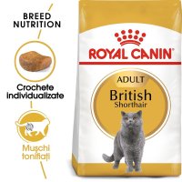 Royal Canin British Shorthair Adult hrana uscata pisica, 400 g - 1