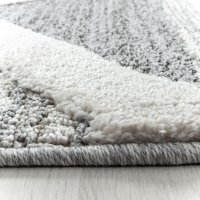 Covor Pisa Gri V7 80x250 cm - 4