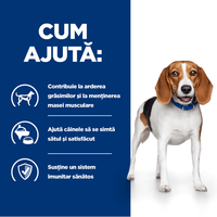 HILLS Prescription Diet r/d Pui pentru Câini - Conservă Umidă pentru Slăbire, 350g - 9