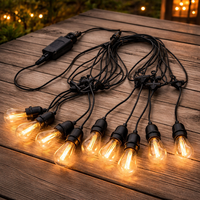 Ghirlanda Luminoasa E27 pentru Gradina si Terasa, IP65, 220V, Conectabila - 1