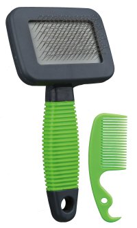 Set Perie si Piaptan 13.5x7 cm 6288 - 1