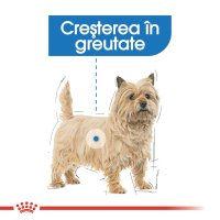ROYAL CANIN Light Weight Care Adult, hrană umedă câini, limitarea creșterii în greutate, (pate), bax, 85g x 12buc - 4