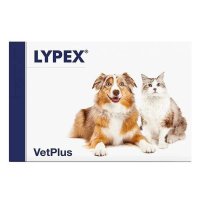 Lypex, 60 capsule - 1