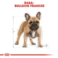 ROYAL CANIN French Bulldog Adult, hrană uscată câini, 3kg - 4