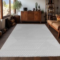Covor Sahara V5 Argintiu 280 x 370cm - 1