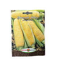 Seminte porumb dulce Golden Bantam 10 gr - Prima Sementi - 1