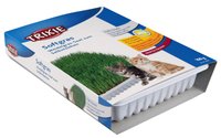 Iarba Bio 100 g Castron 4232 - 1