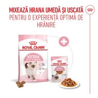 ROYAL CANIN Kitten, hrană uscată pisici junior, 4kg - 10