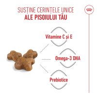 ROYAL CANIN Kitten, hrană uscată pisici junior, 4kg - 5